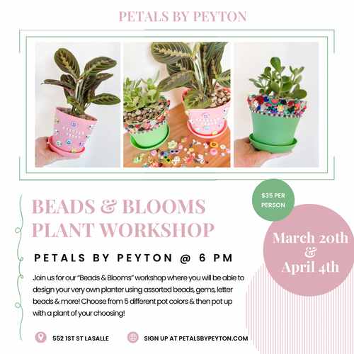 3/20 BEADS & BLOOMS WORKSHOP AT PETALS BY PEYTON