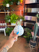 Load image into Gallery viewer, CUTE SPOTTED AIR PLANT DISPLAY