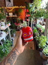Load image into Gallery viewer, SUGAR SKULL WITH AIR PLANT