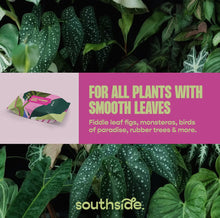 Load image into Gallery viewer, PLANT CLEANING WIPES