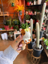 Load image into Gallery viewer, MINI HORSE SUCCULENT PLANTER