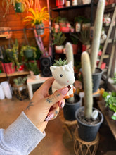 Load image into Gallery viewer, MINI HORSE SUCCULENT PLANTER