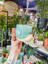 Load image into Gallery viewer, CERAMIC SNAIL PLANTER
