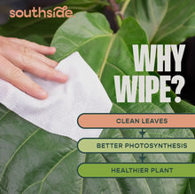 Load image into Gallery viewer, PLANT CLEANING WIPES