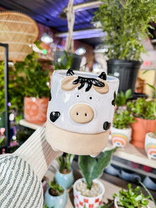 CERAMIC COW PLANTER