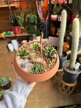 Load image into Gallery viewer, SUCCULENT GARDEN IN TERRA COTTA BOWL
