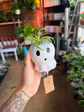 Load image into Gallery viewer, CUTE GHOST WITH AIR PLANT