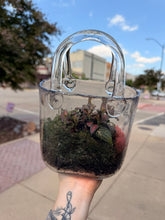 Load image into Gallery viewer, GLASS PURSE TERRARIUM HOT BUY