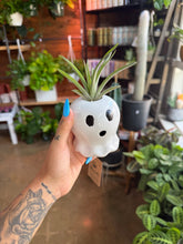 Load image into Gallery viewer, CUTE GHOST WITH AIR PLANT
