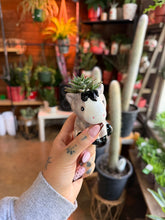 Load image into Gallery viewer, MINI HORSE SUCCULENT PLANTER