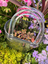 Load image into Gallery viewer, GLASS PURSE TERRARIUM HOT BUY