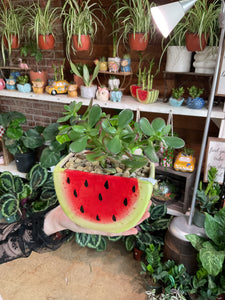 JADE IN WATERMELON