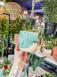 CERAMIC SNAIL PLANTER