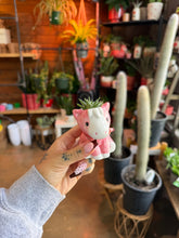 Load image into Gallery viewer, MINI HORSE SUCCULENT PLANTER