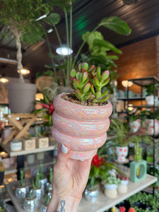 JADE IN PINK BUBBLE POT