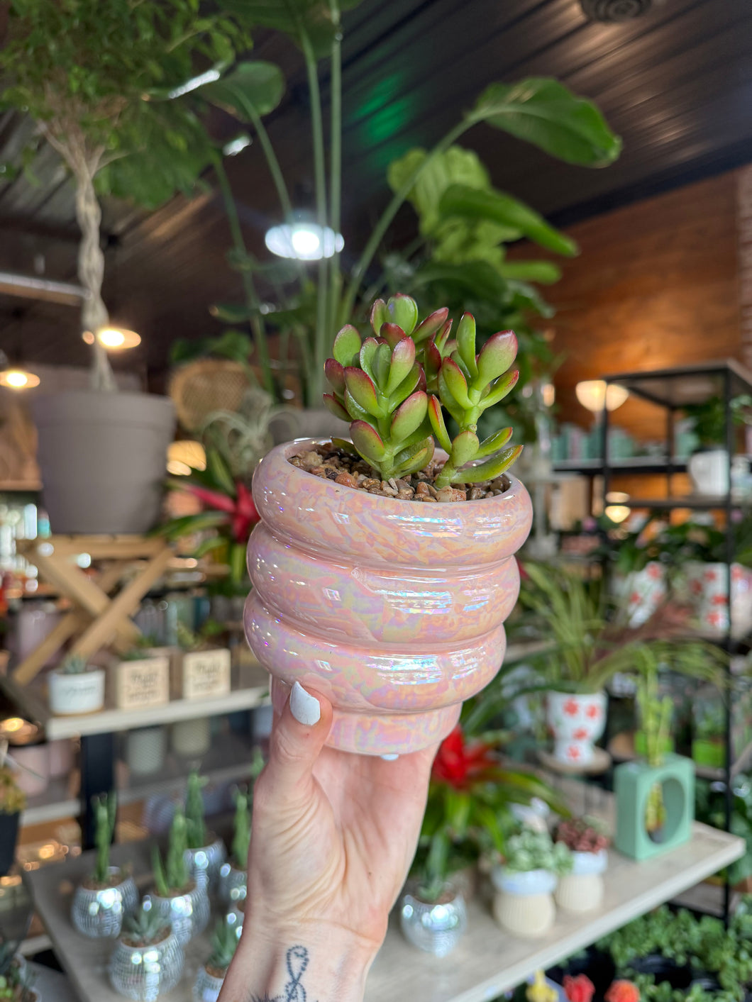 JADE IN PINK BUBBLE POT