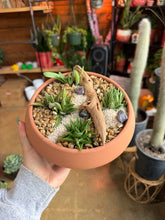 Load image into Gallery viewer, SUCCULENT GARDEN IN TERRA COTTA BOWL