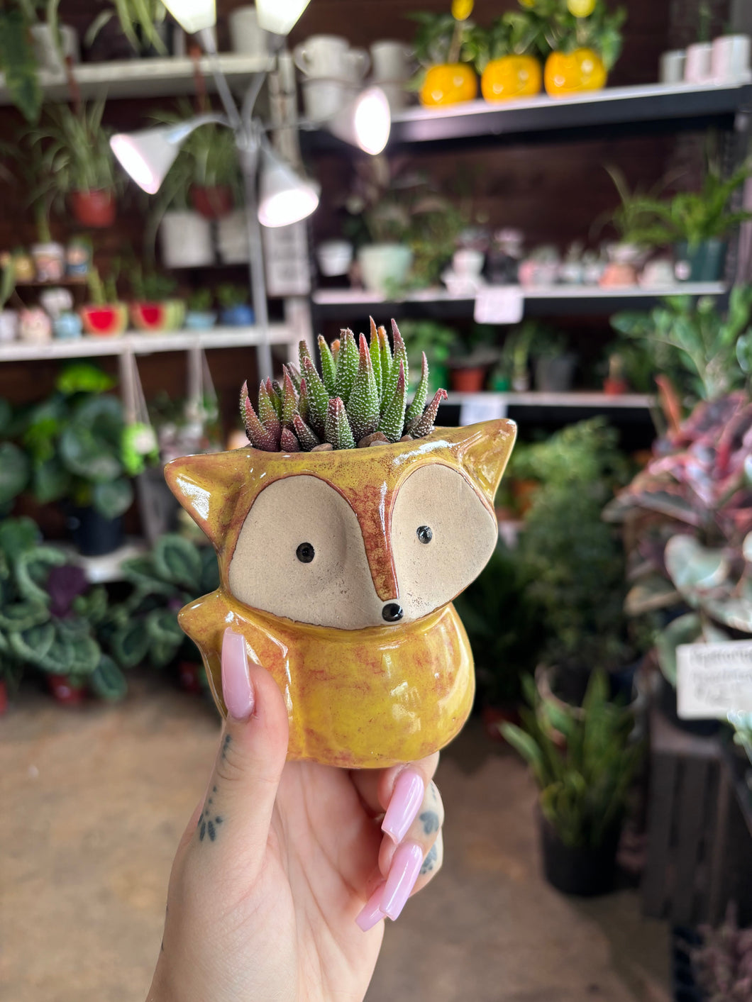 ORANGE FOX PLANTER WITH HAWORTHIA