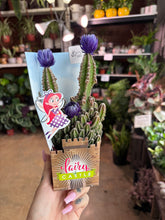 Load image into Gallery viewer, 4” FAIRY CASTLE CACTUS HOT BUY