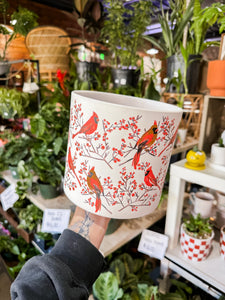 6” CARDINAL POT