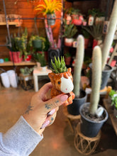 Load image into Gallery viewer, MINI HORSE SUCCULENT PLANTER
