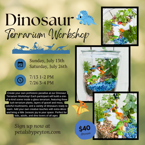 7/26 DINO TERRARIUM WORKSHOP
