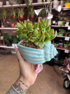 SEASHELL PLANTER WITH JADE