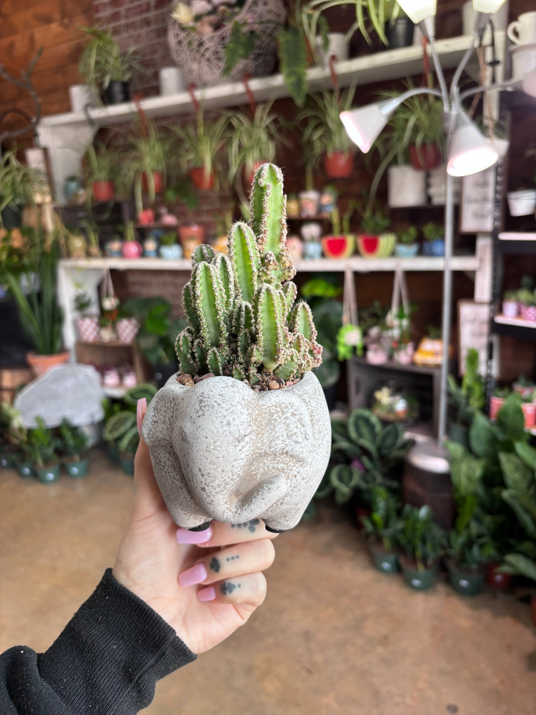 ELEPHANT PLANTER WITH FAIRY CASTLE CACTUS
