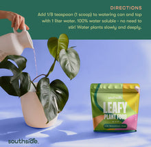 Load image into Gallery viewer, LEAFY PLANT FOOD