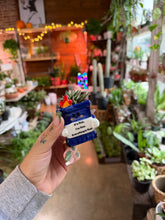 Load image into Gallery viewer, DUMPSTER FIRE PLANTER WITH HAWORTHIA