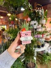 Load image into Gallery viewer, DUMPSTER FIRE PLANTER WITH HAWORTHIA