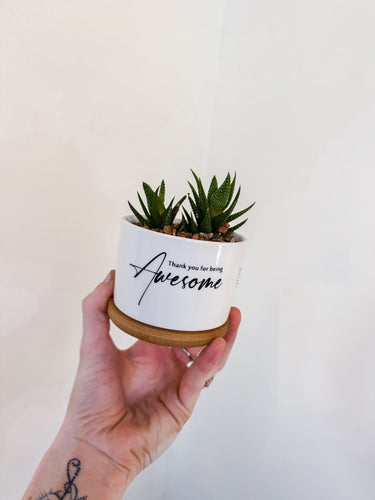 THANK YOU FOR BEING AWESOME PLANTER WITH EASY CARE HAWORTHIA