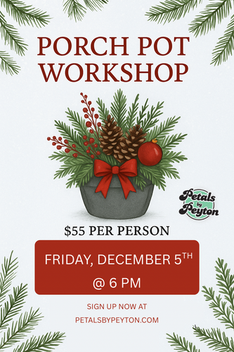 12/5 PORCH POT WORKSHOP @ 6 PM