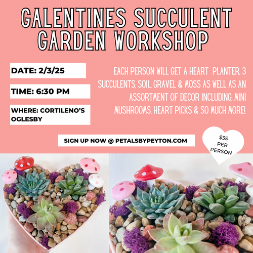 CORTILENOS GALENTINES WORKSHOP